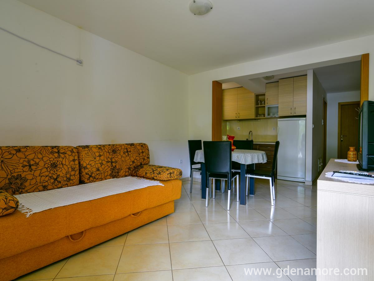 Sobe i Apartmani Davidovic, privatni smeštaj u mestu Petrovac, Crna Gora - DUS_1353